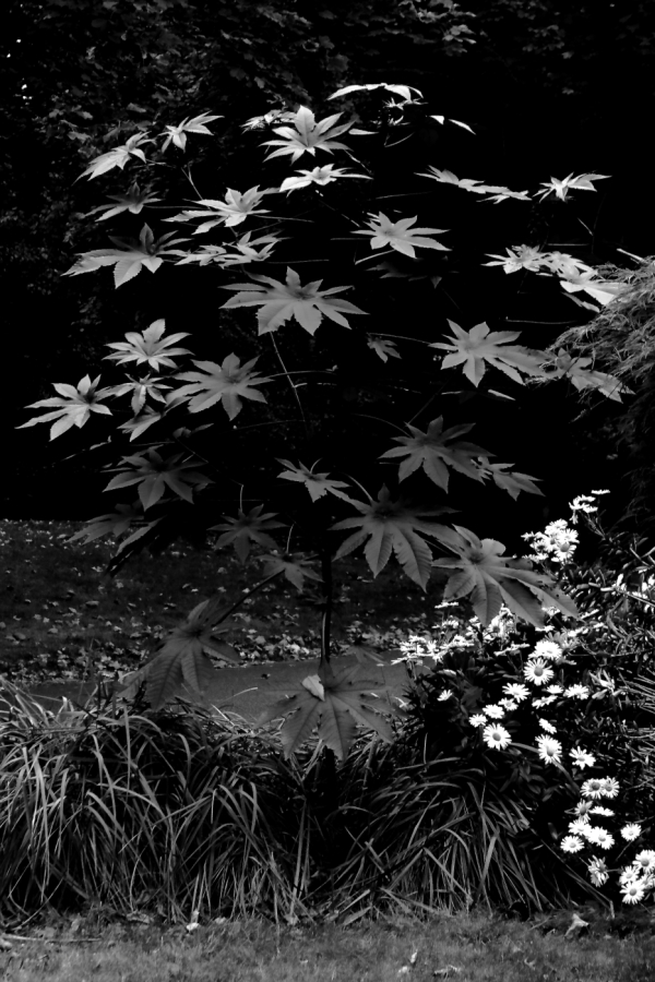 2012 10 12 9999 8ebw